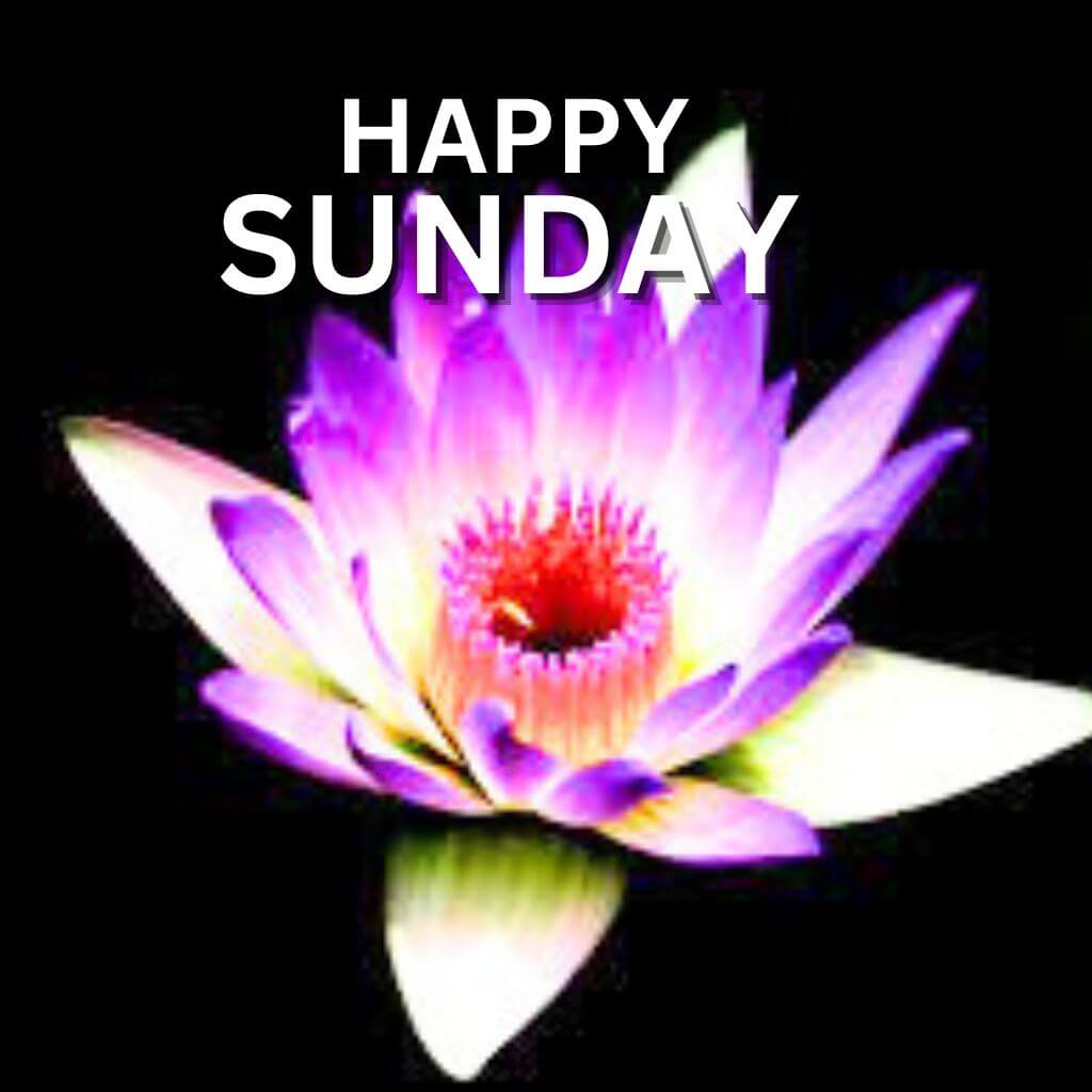 Blessed Sunday pics HD New Download