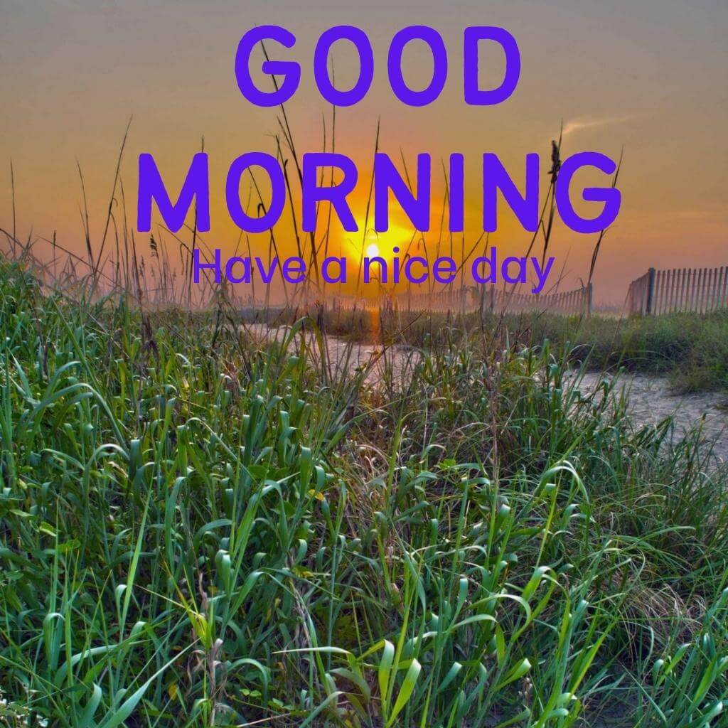 Download Free Good Morning Wallpaper Pic Download