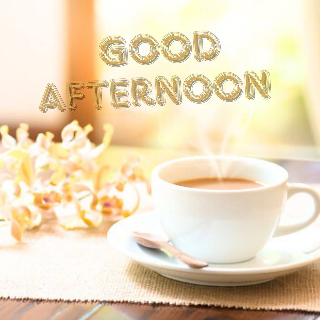 Free Best Good Afternoon Images Pics new Download