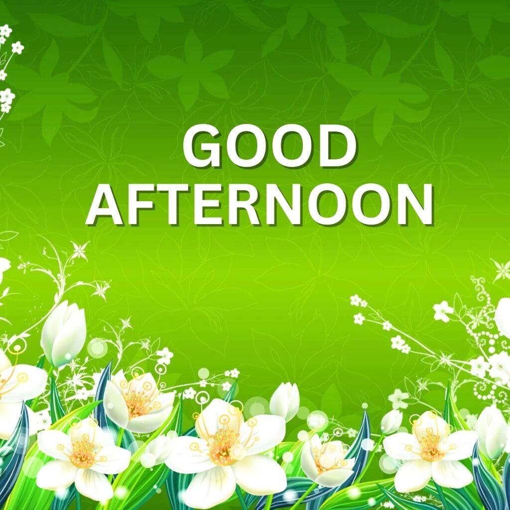 Free Good Afternoon Pics New Download