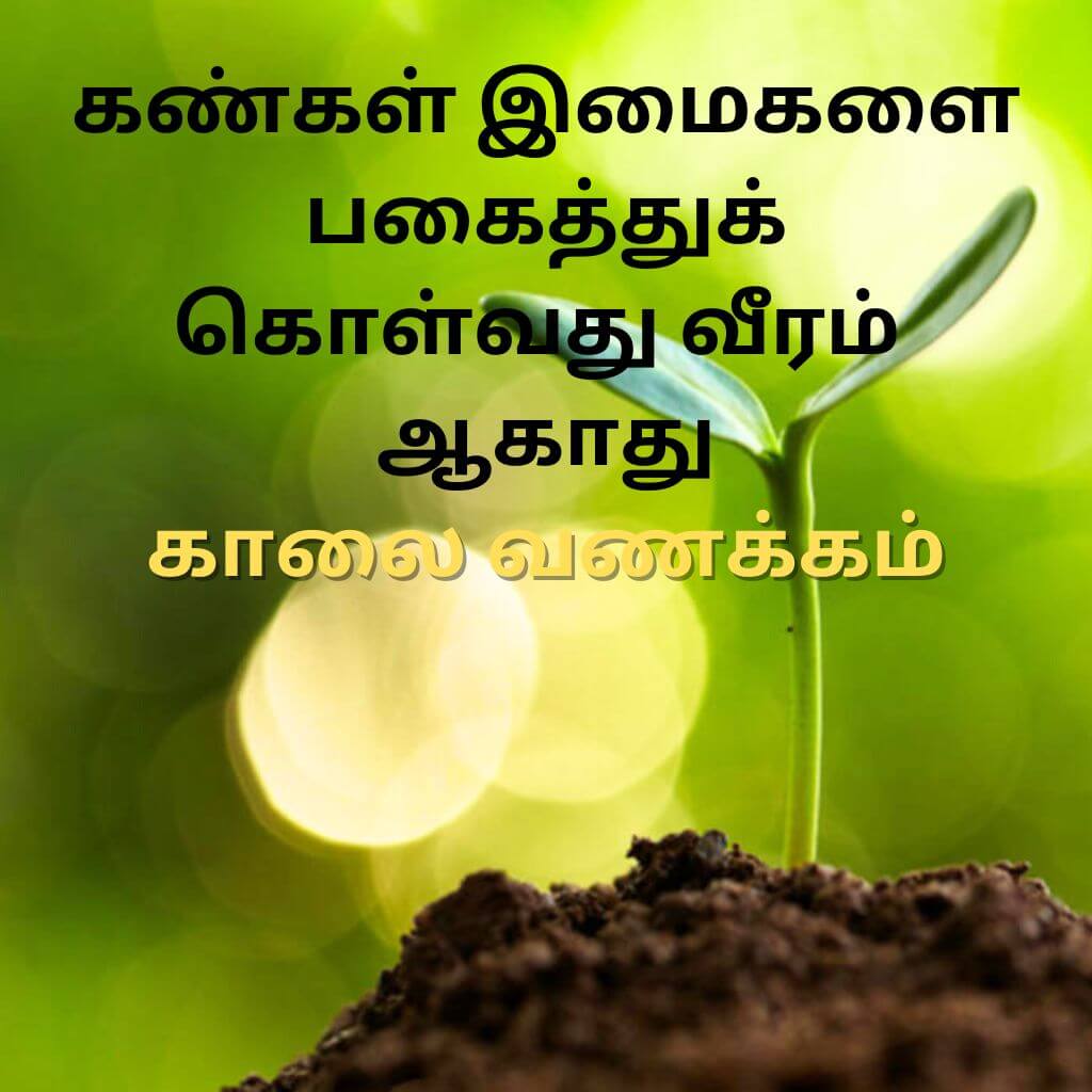 Free Tamil Good Morning Wallpaper Pics Images Pictures Free Download