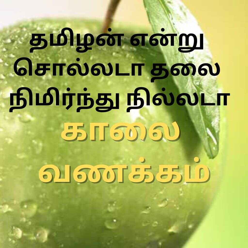 Free Tamil Good Morning Wallpaper Photo Pics New Download for WhatsApp Status 