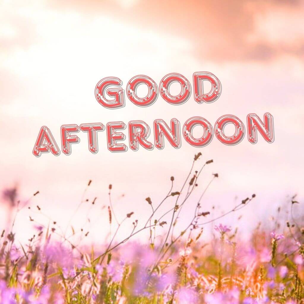 Good Afternoon Wallpaper Pics Free Download (2)