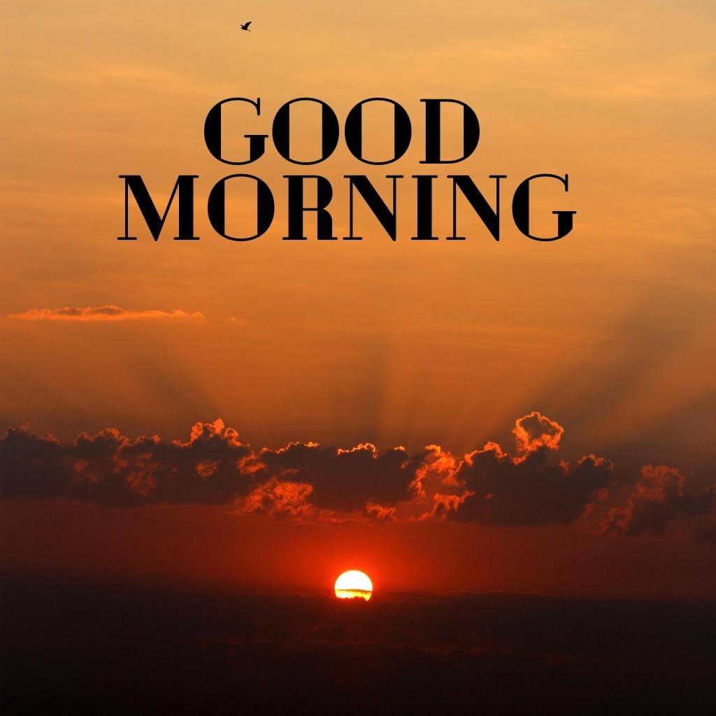 Good Morning Wallpaper Pics free Download