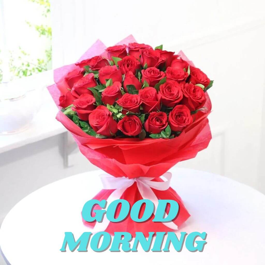 Good Morning rose pics New Download