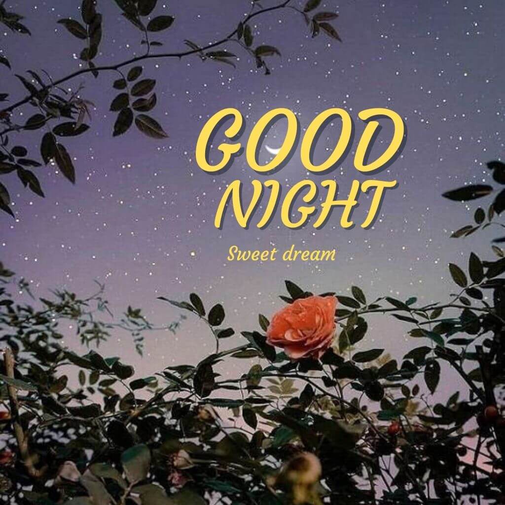 Good Night Wallpaper Pics Download