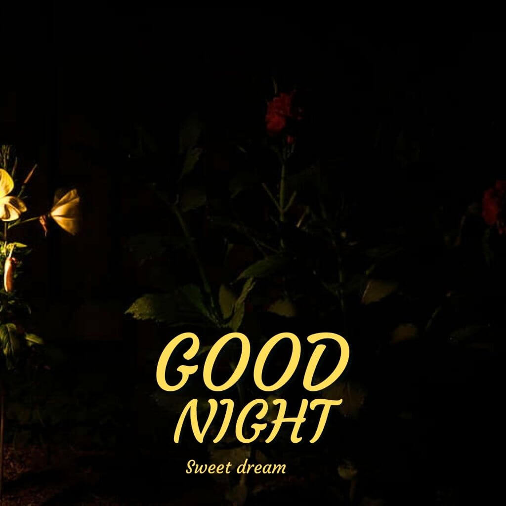 Good Night Wallpaper Pics Free Download 2023 (2)
