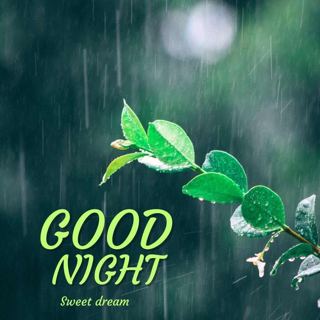 Good Night Wallpaper Pics free Download (2)