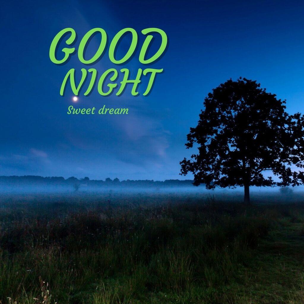 Good Night photo New Download 2023