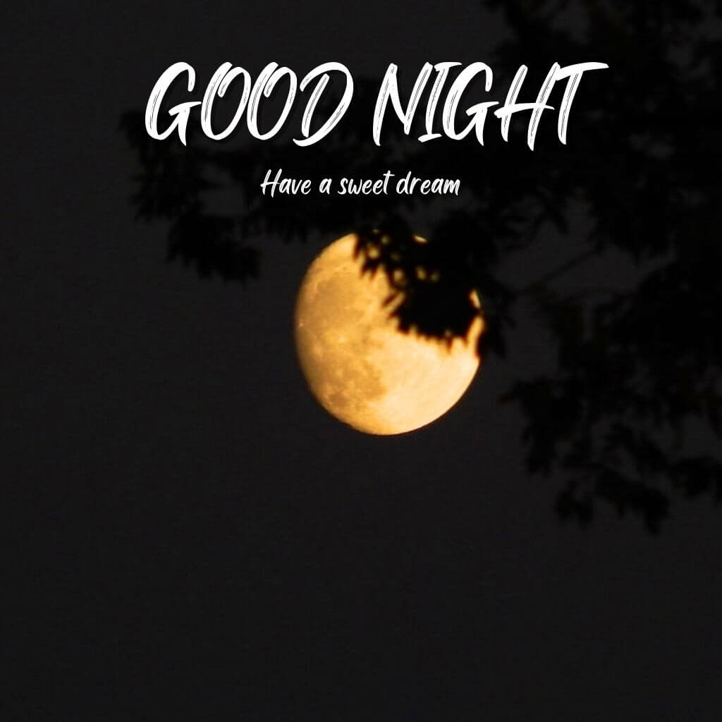 Good Night pics new Download 2023 (2)