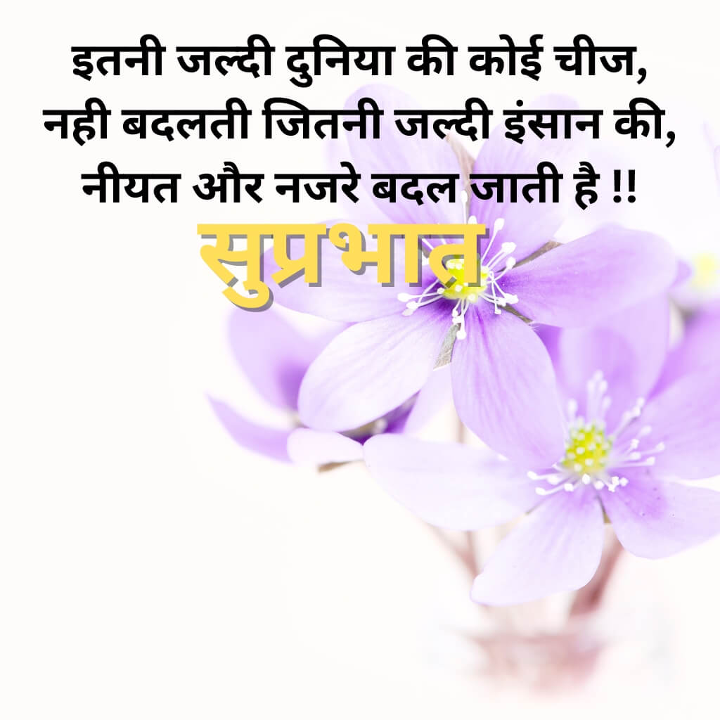 Hindi Quotes suprabhat Wallpaper HD Photo pics New Download 