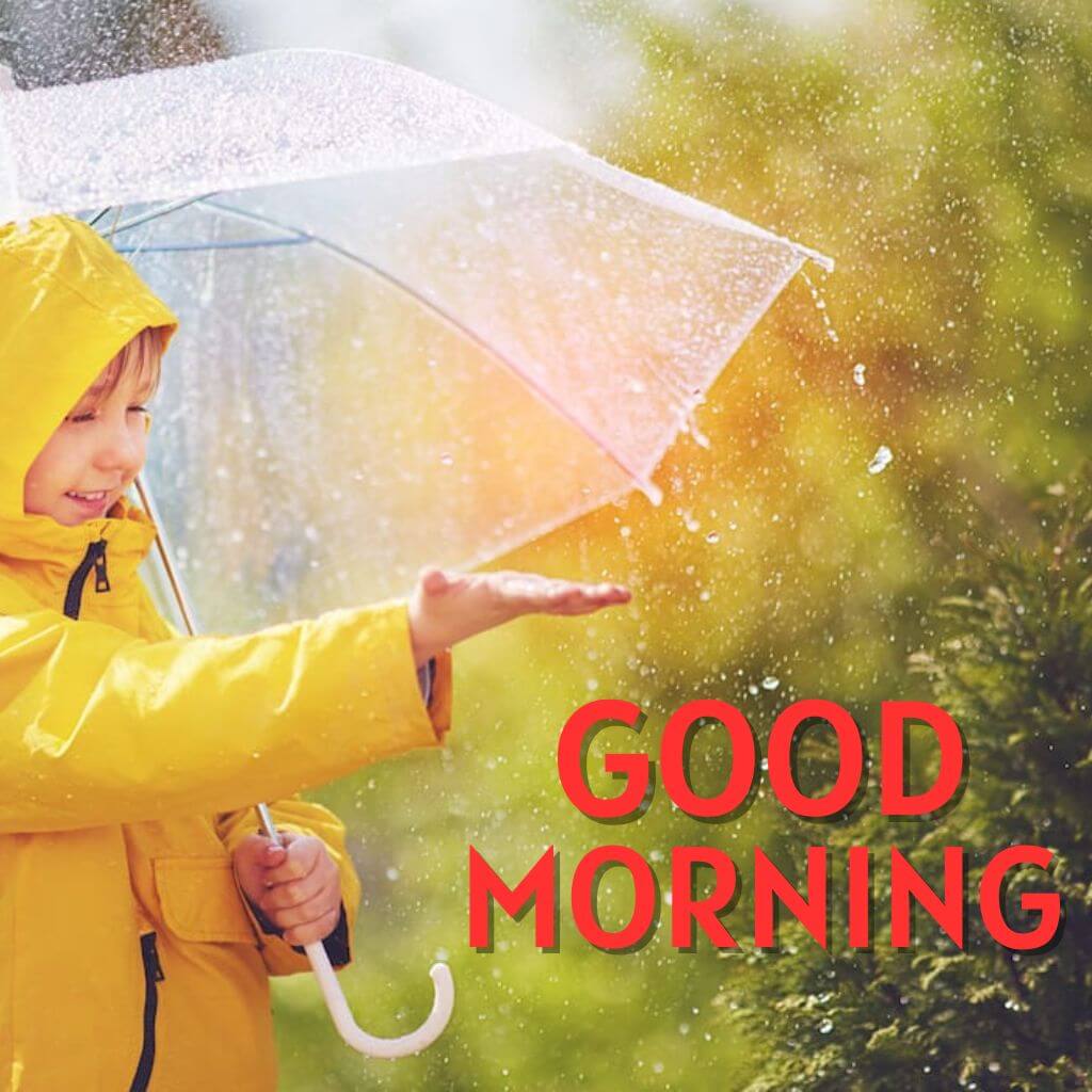 Love Free rainy good morning Pics New Download