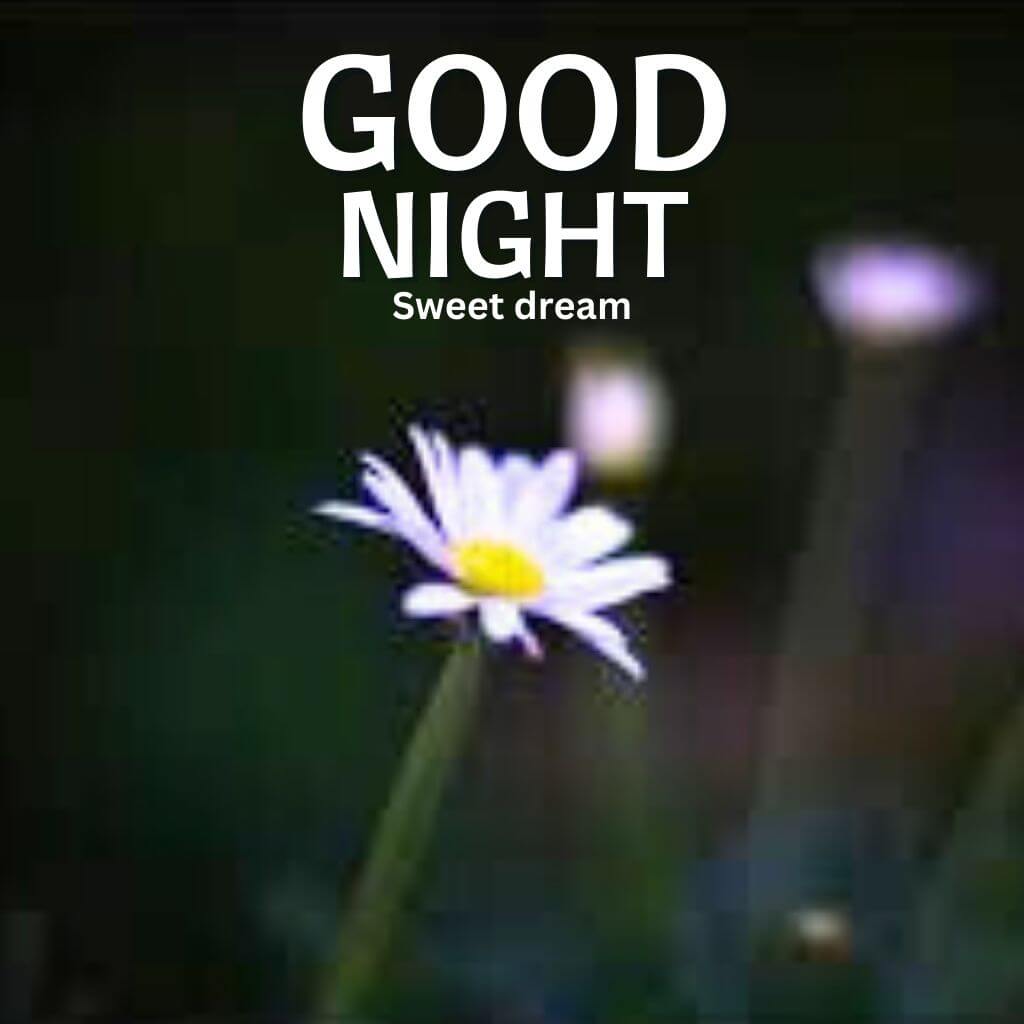 New HD Good Night Wallpaper Pics new Download