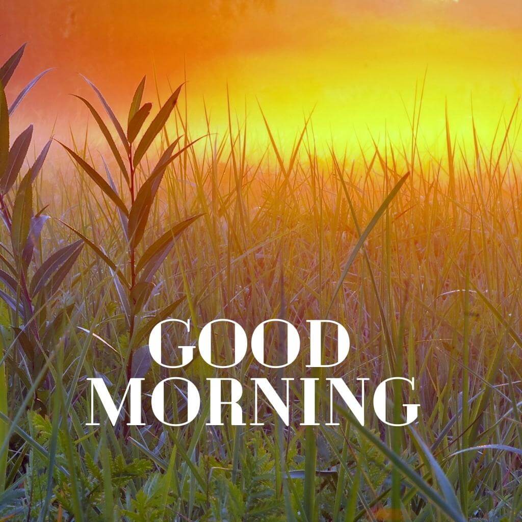 New Sunrise Good Morning Images Pics new Download