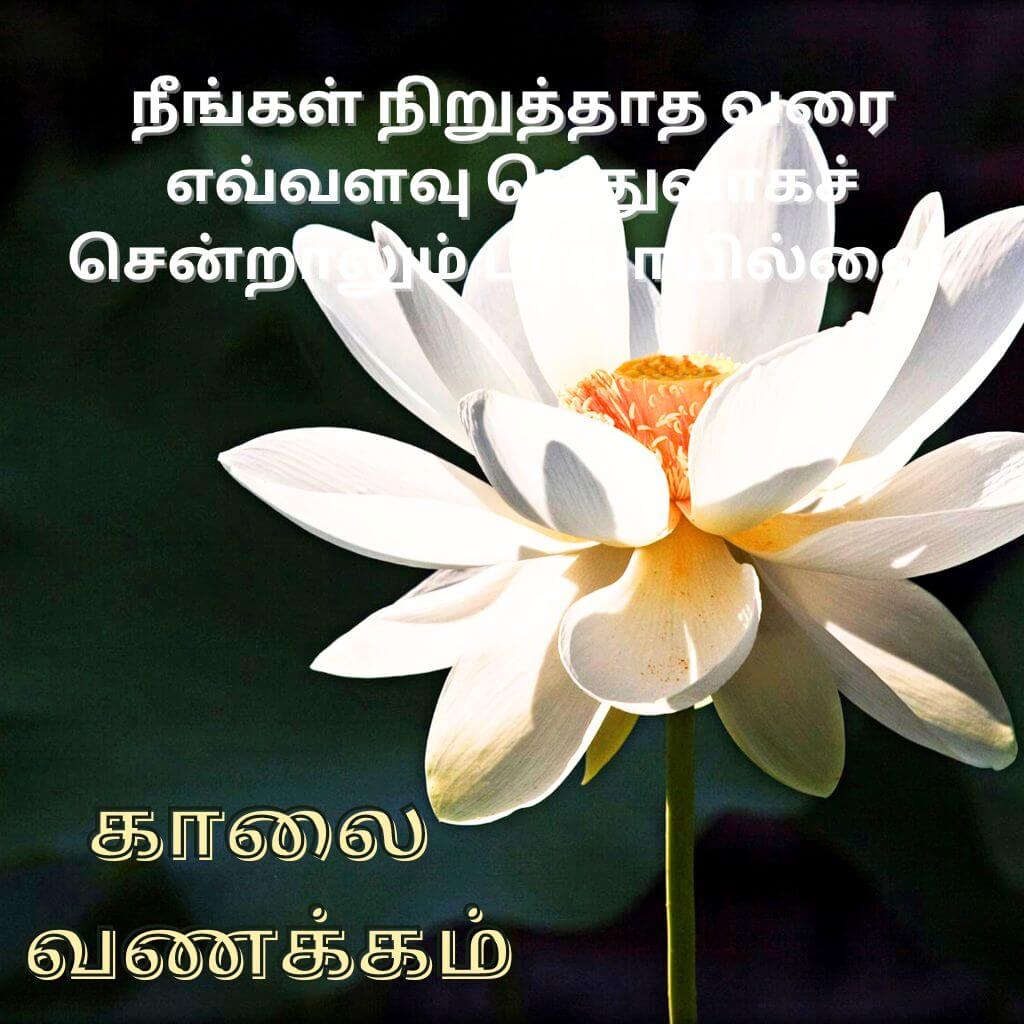Tamil Good Morning Pics New Download for Whatsapp Facebook