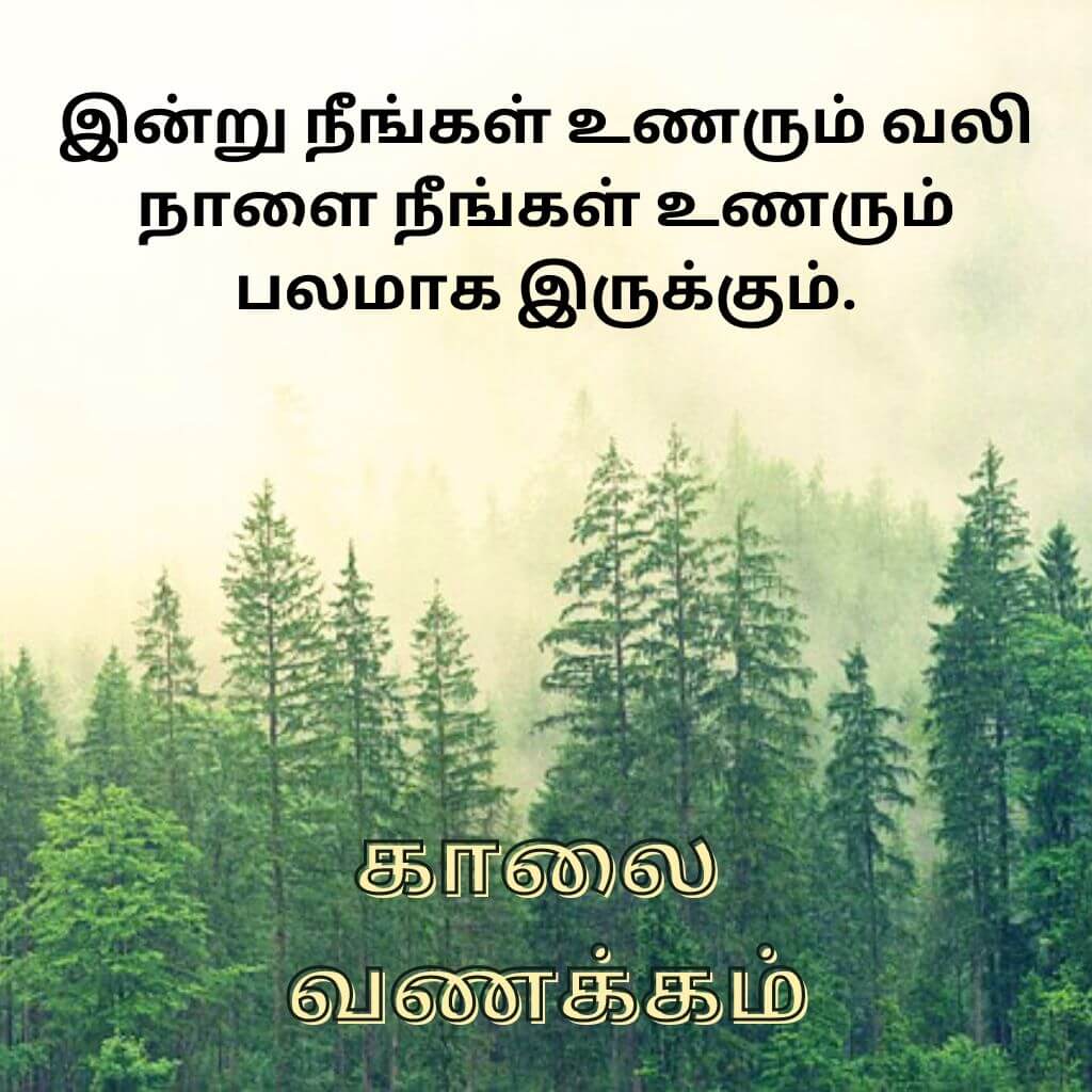 Tamil Good Morning Pics Pictures Free for Whatsapp Facebook