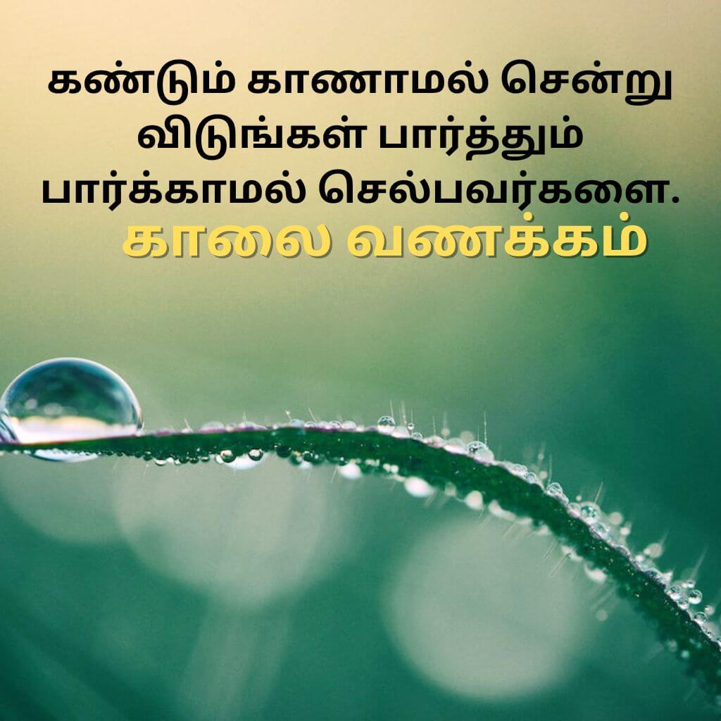 Tamil Good Morning Wallpaer Pics Free