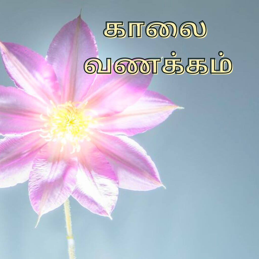 Tamil Good Morning Wallpaper Pics HD Download Free