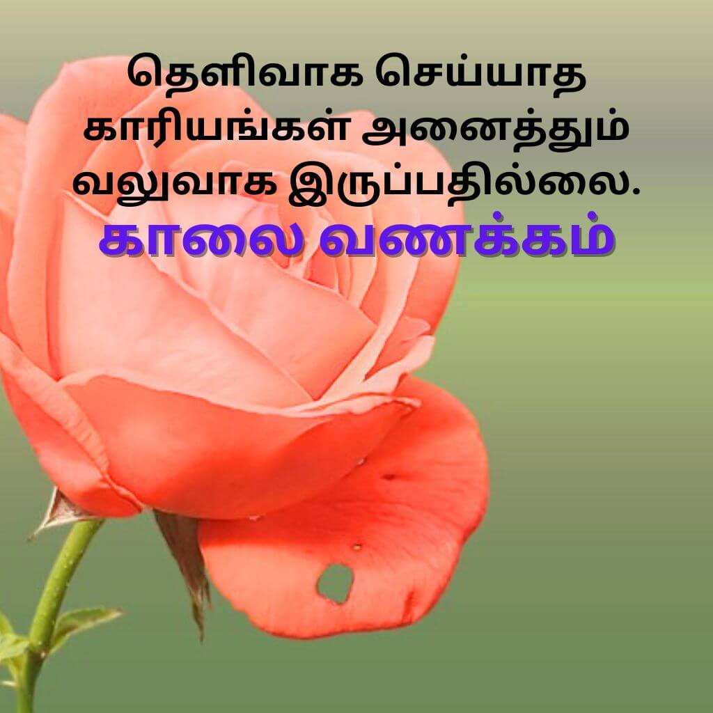Tamil Good Morning Wallpaper Pics free