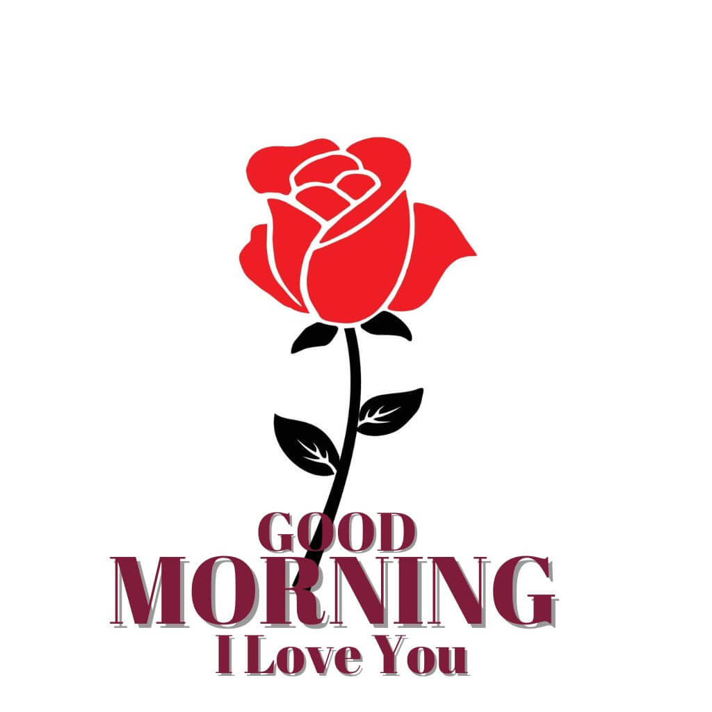 Top HD good morning I love you Images Pics New Download