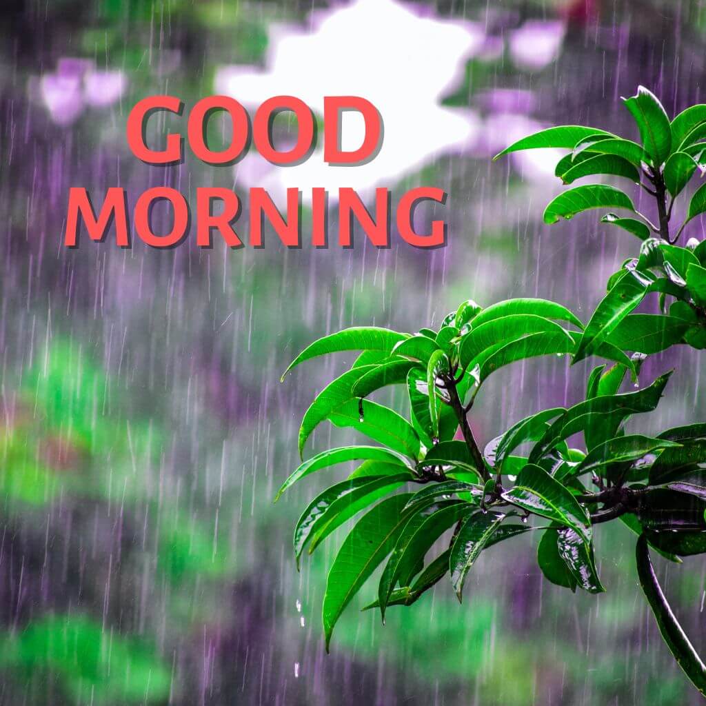 Top HD rainy good morning Pics Wallpaper for facebook