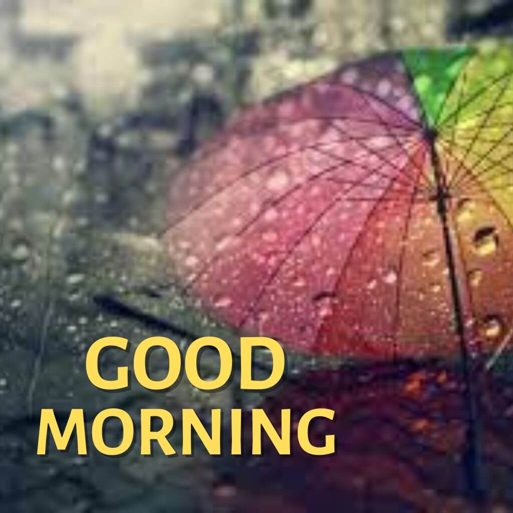 best New rainy good morning Images Download for Whatsapp-Facebook