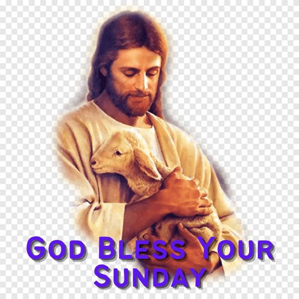 blessed sunday Photo new Download