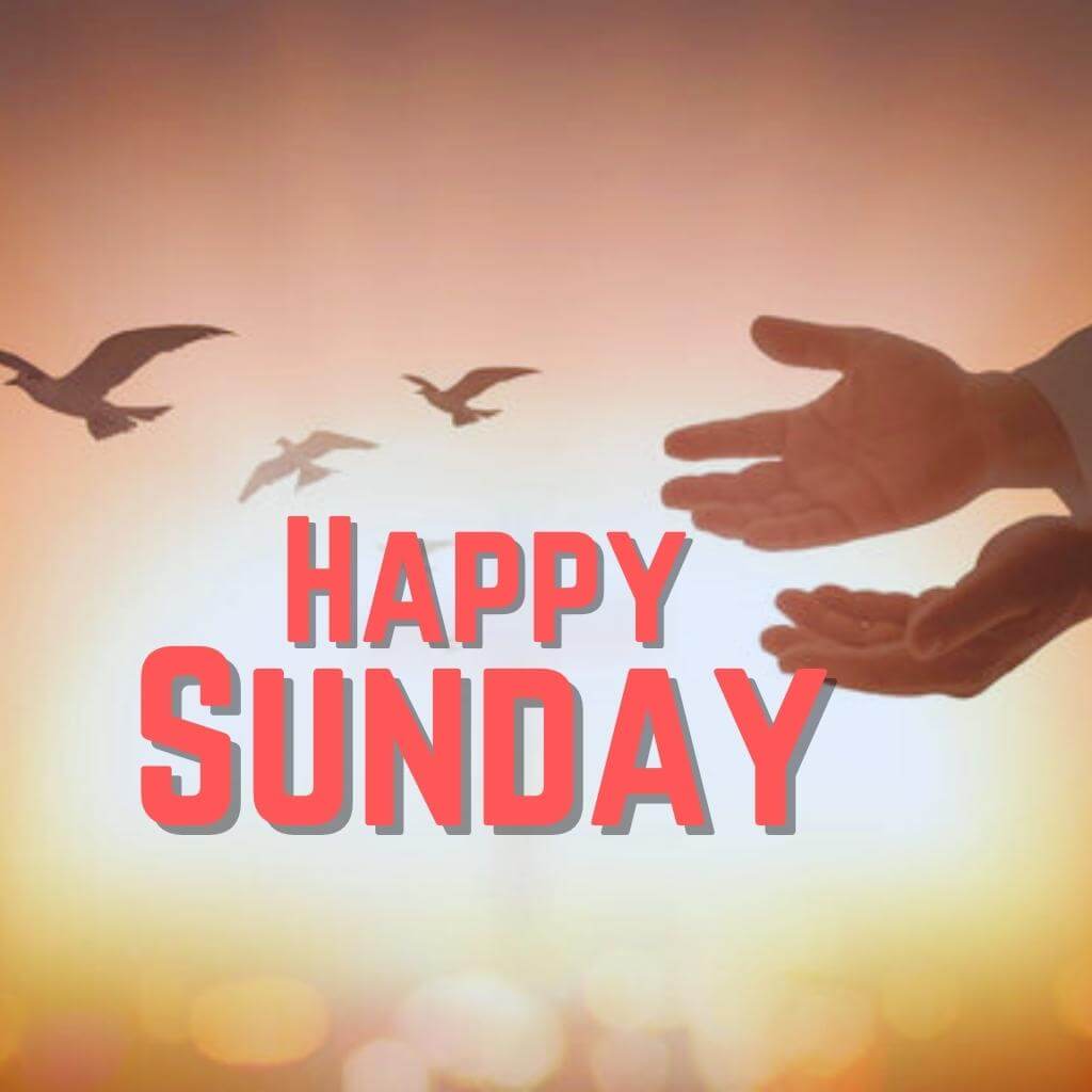 blessed sunday Wallpaper Pics Download 2023 HD