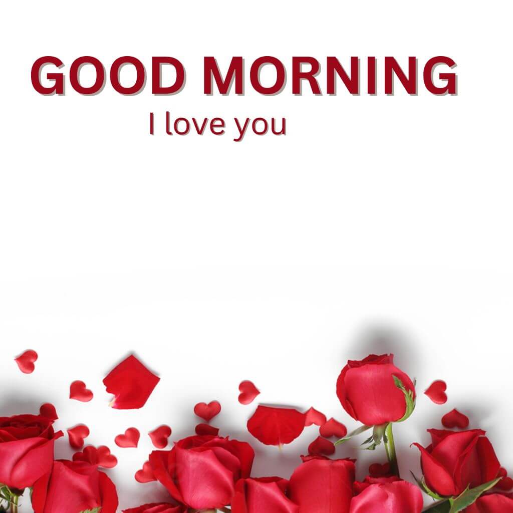 good morning I love you Images photo HD