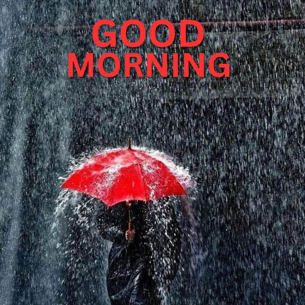 rainy good morning Images