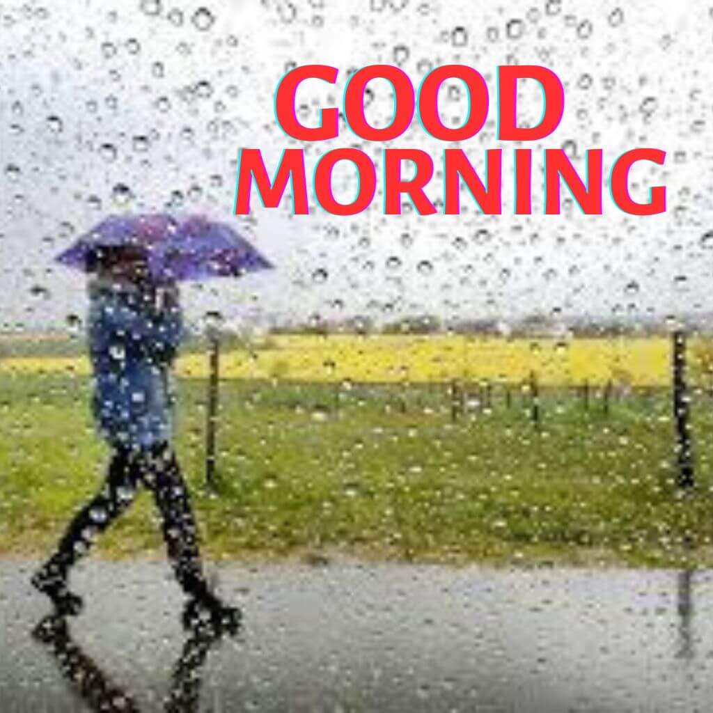 rainy good morning Pics HD Download