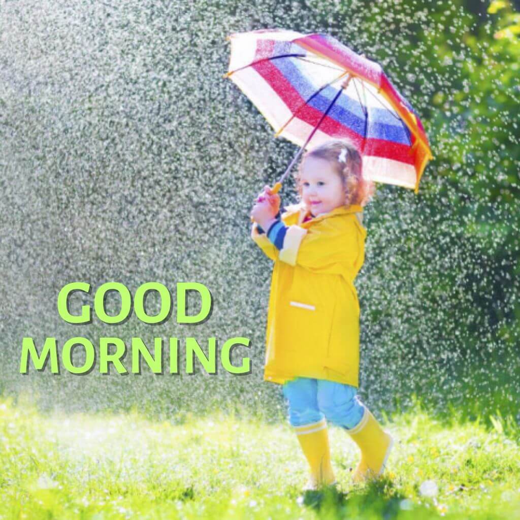 rainy good morning Wallpaper Pics Free Download