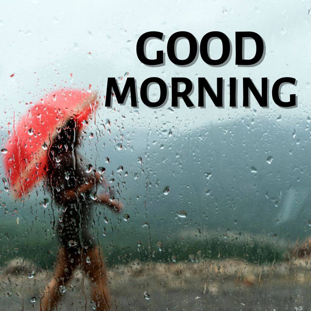rainy good morning Wallpaper Pics New Downlaod