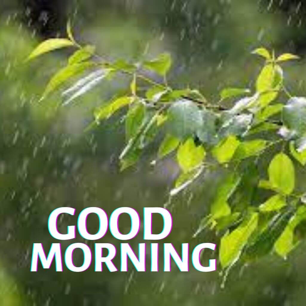 rainy good morning pics Wallpaper New Download