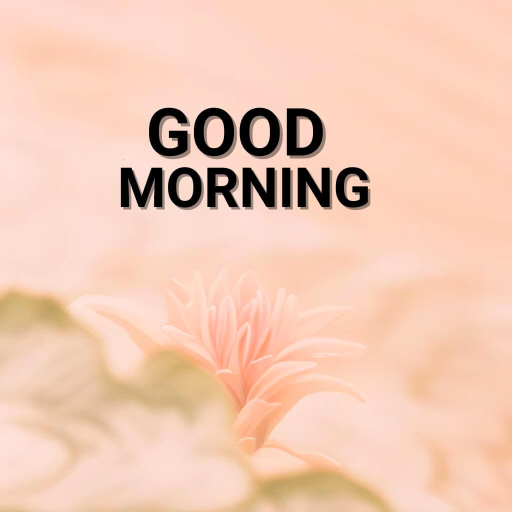3d Good Morning Wallpaper free Download 2023