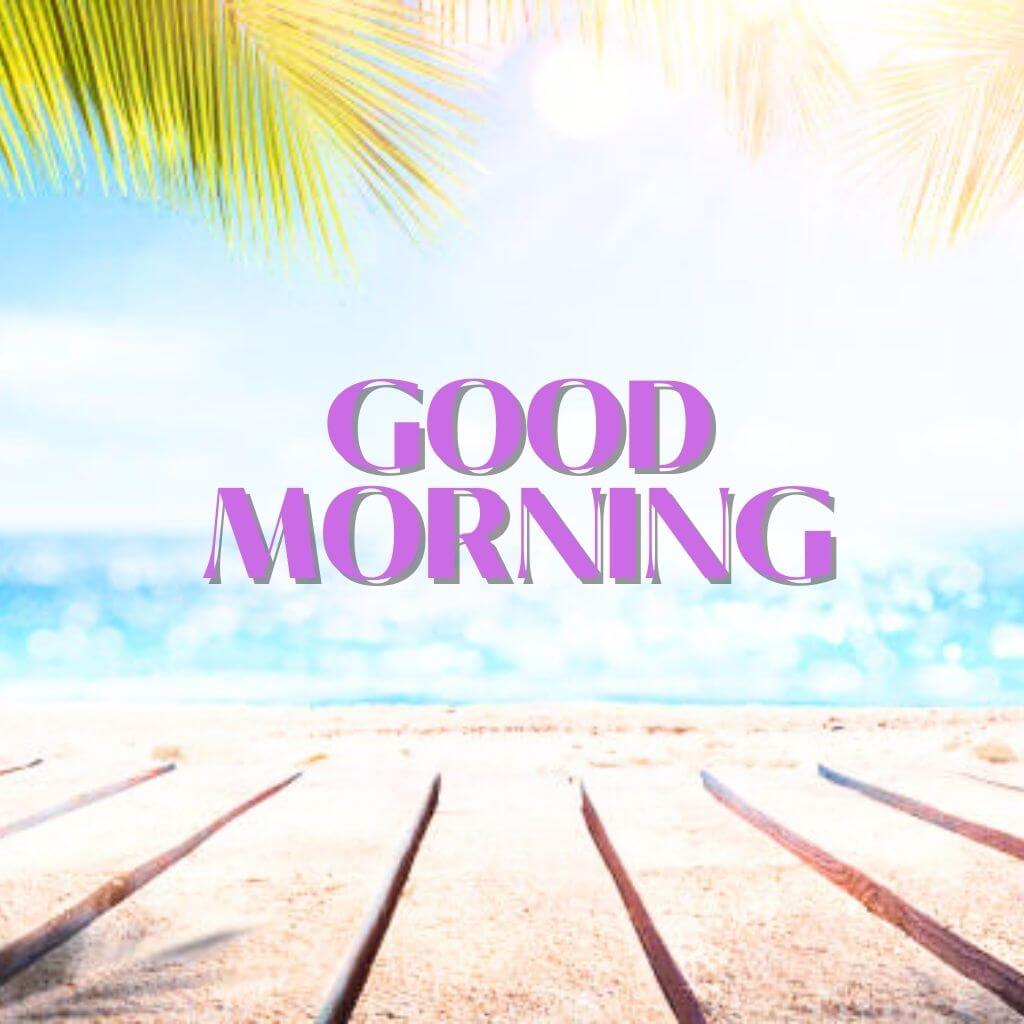 Beautiful good Morning Summer Images Wallpaper New Download