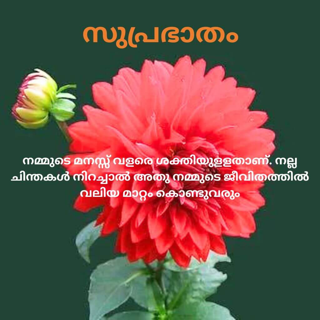 Beautiful good morning quotes malayalam Images Wallpaper Free 