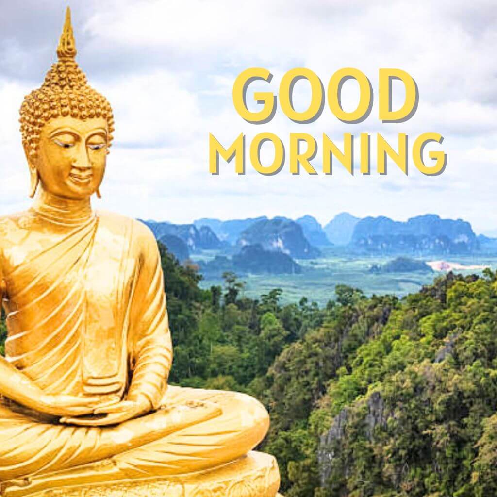 Best HD buddha good morning Images Wallpaper HD Download Free 