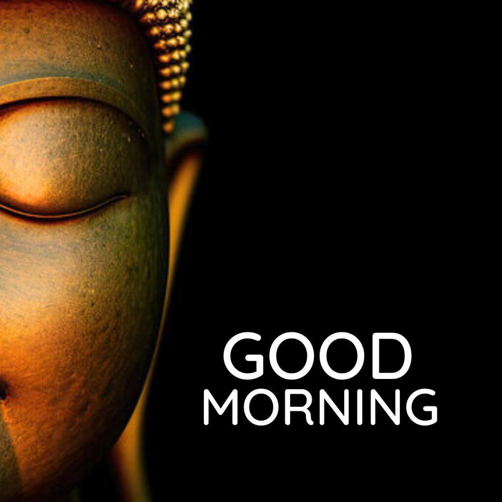 Best HD buddha good morning Images pics New Download