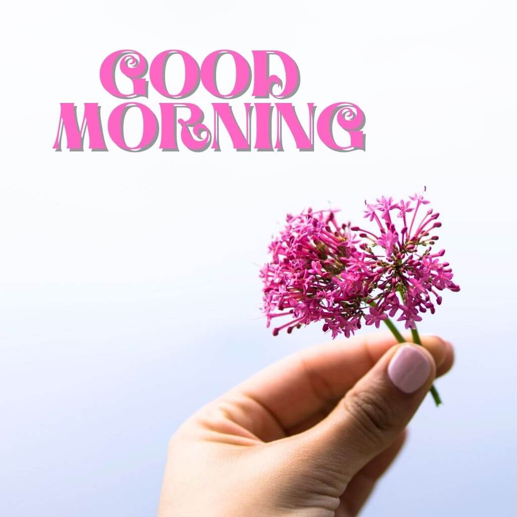 Best HD good morning have a blessed day Wallpaper Pics Images Photo Free HD