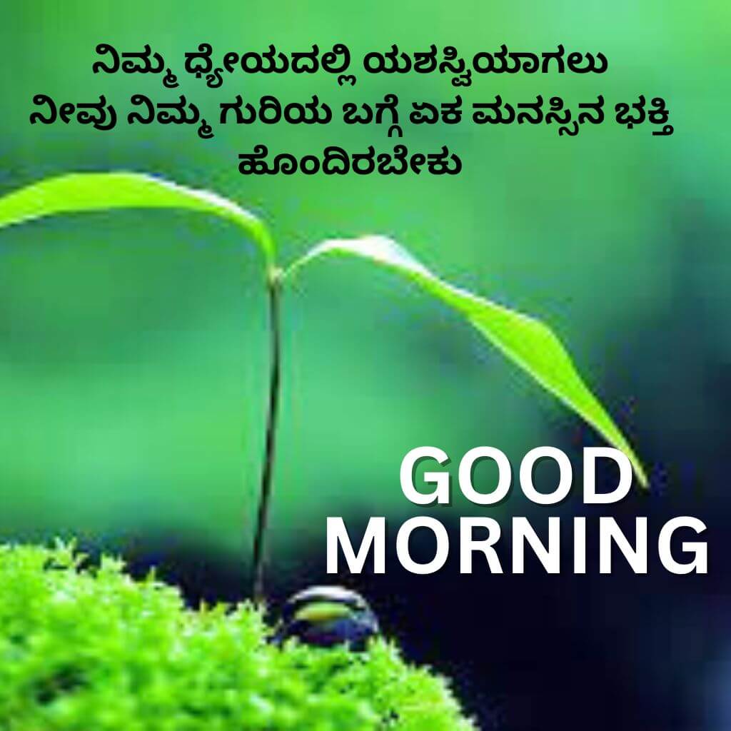 Best HD kannada Quotes Good Morning Images