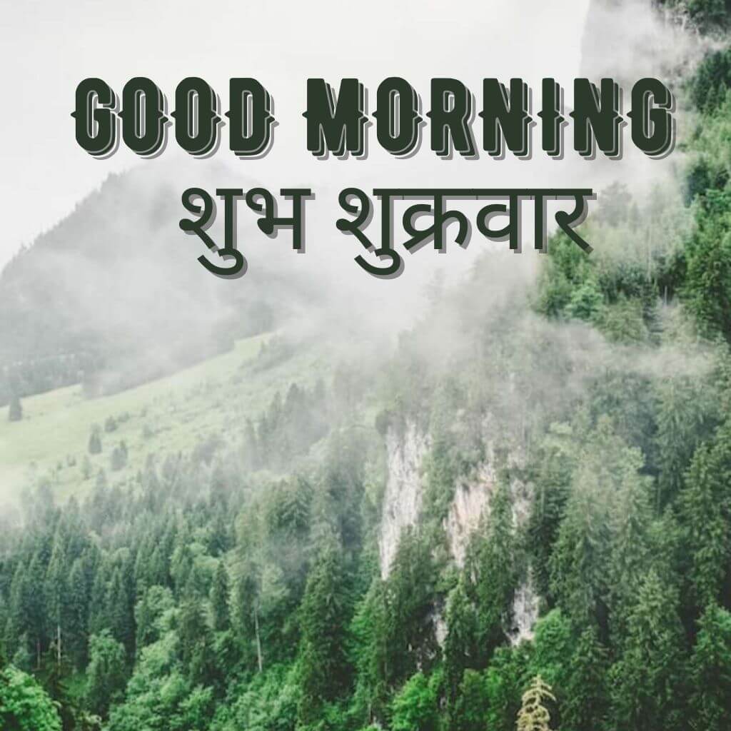 Best Nature Subh Sukarwar Good Morning Images Wallpaper for WhatsApp 