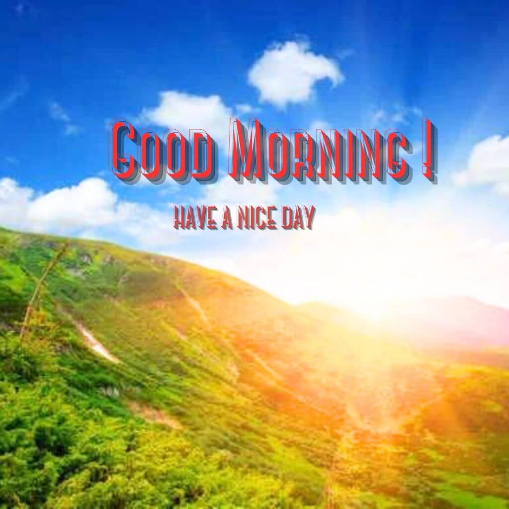 Best New good morning Images Wallpaper Pictures HD Download