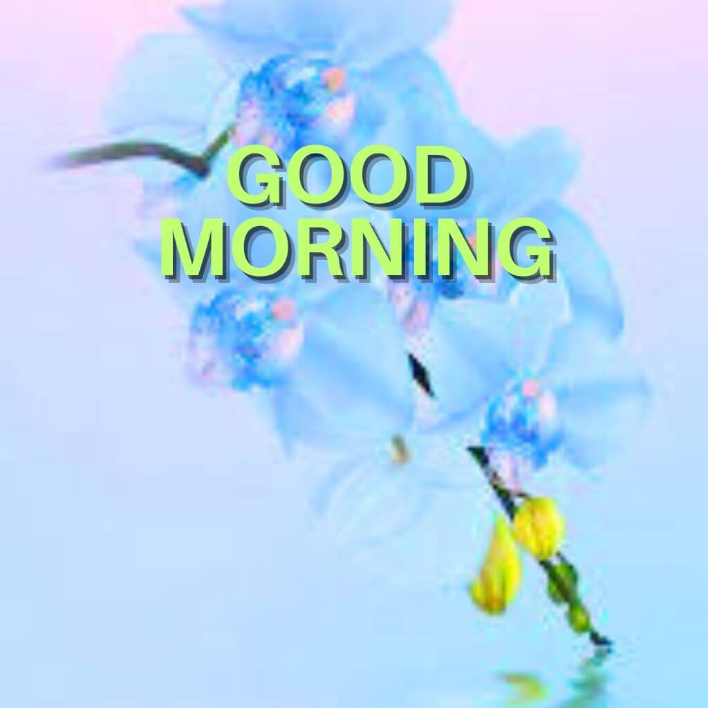 Best New latest good morning Wallpaper for Facebook Download 