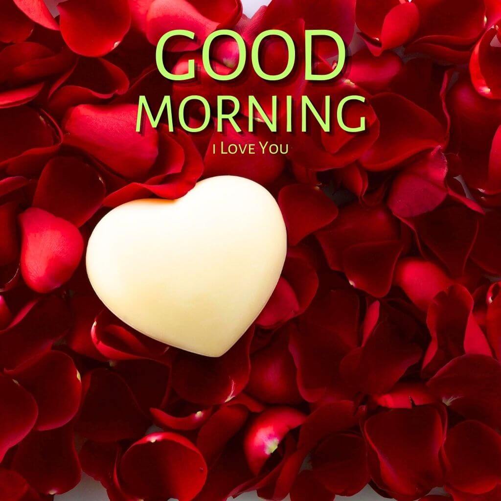 Best Quality Good Morning I Love You Images Pics New Download 2023