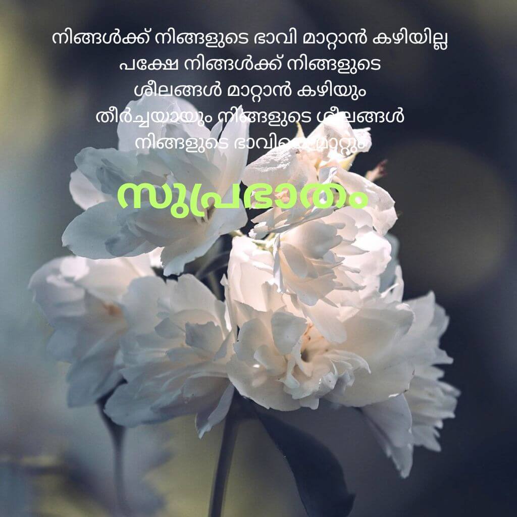 Best Quality good morning quotes malayalam Images Wallpaper for Friend 