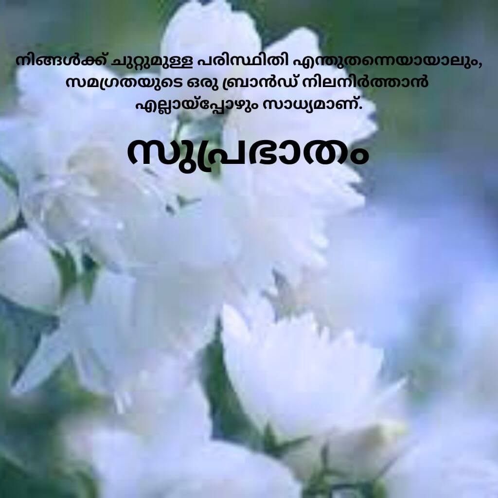 Best Quality good morning quotes malayalam Wallpaper HD Download free 