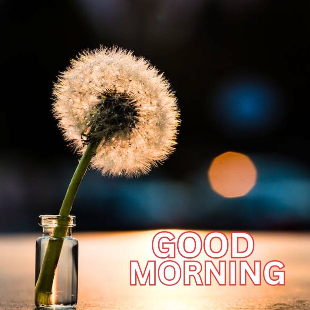 Best good morning greetings Images Download