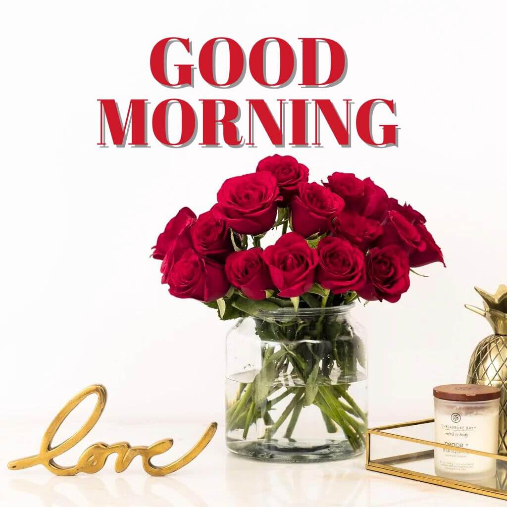 Best good morning rose Wallpaper Pics Pictures Download for Girlfriend 