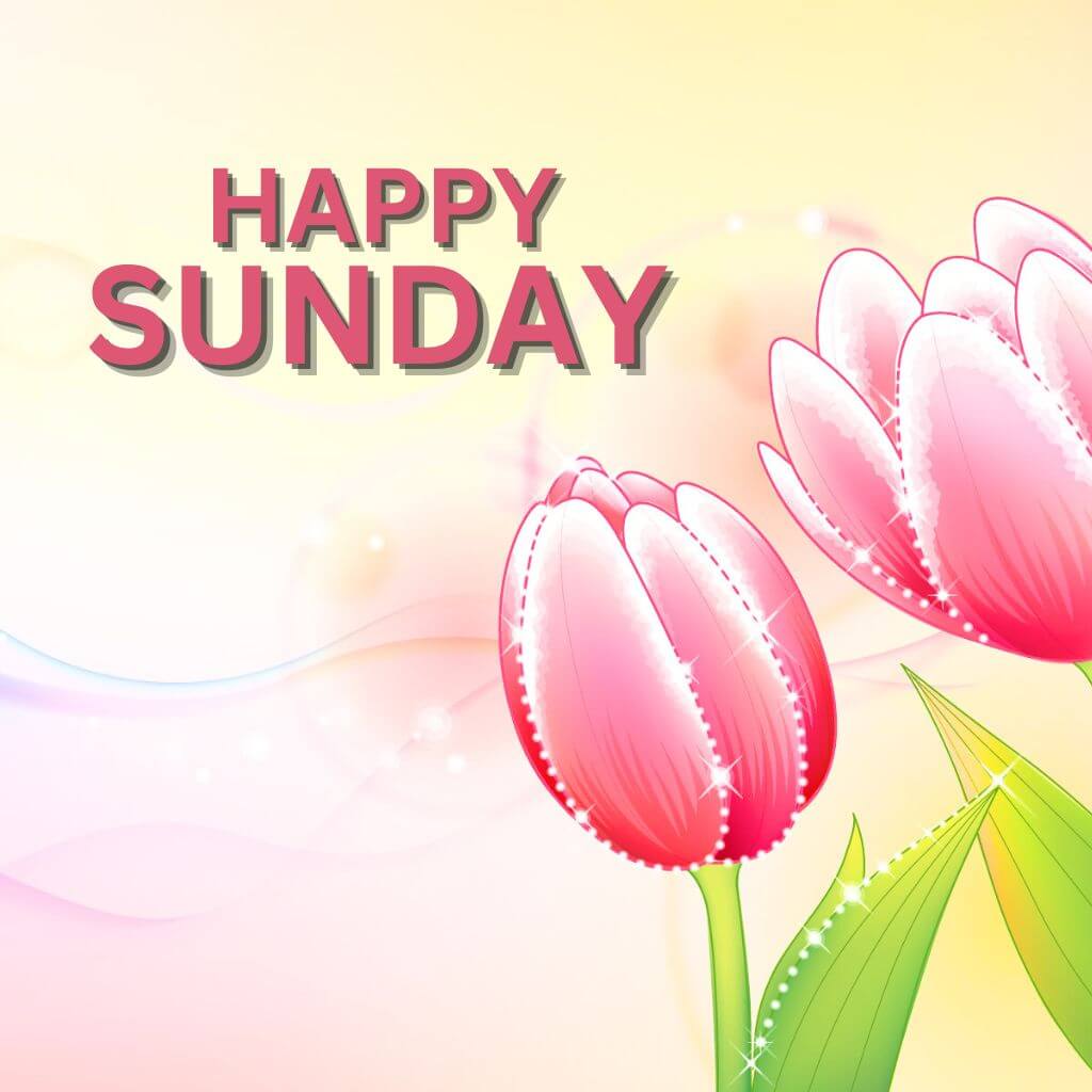 Blessed Sunday Pics Wallpaper free Download